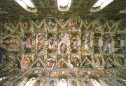 Michelangelo Buonarroti the sistine chapel ceiling china oil painting reproduction